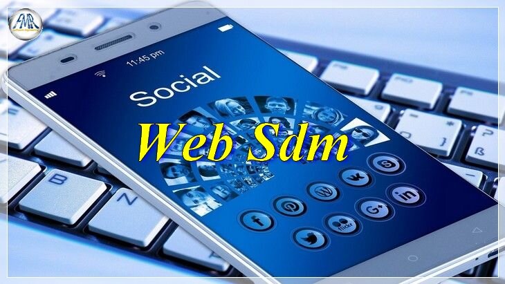 web SDM web SDM
